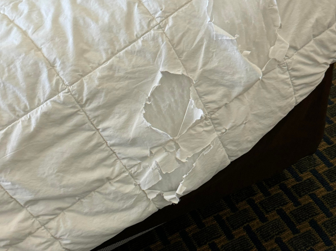 Quality Inn & Suites主图