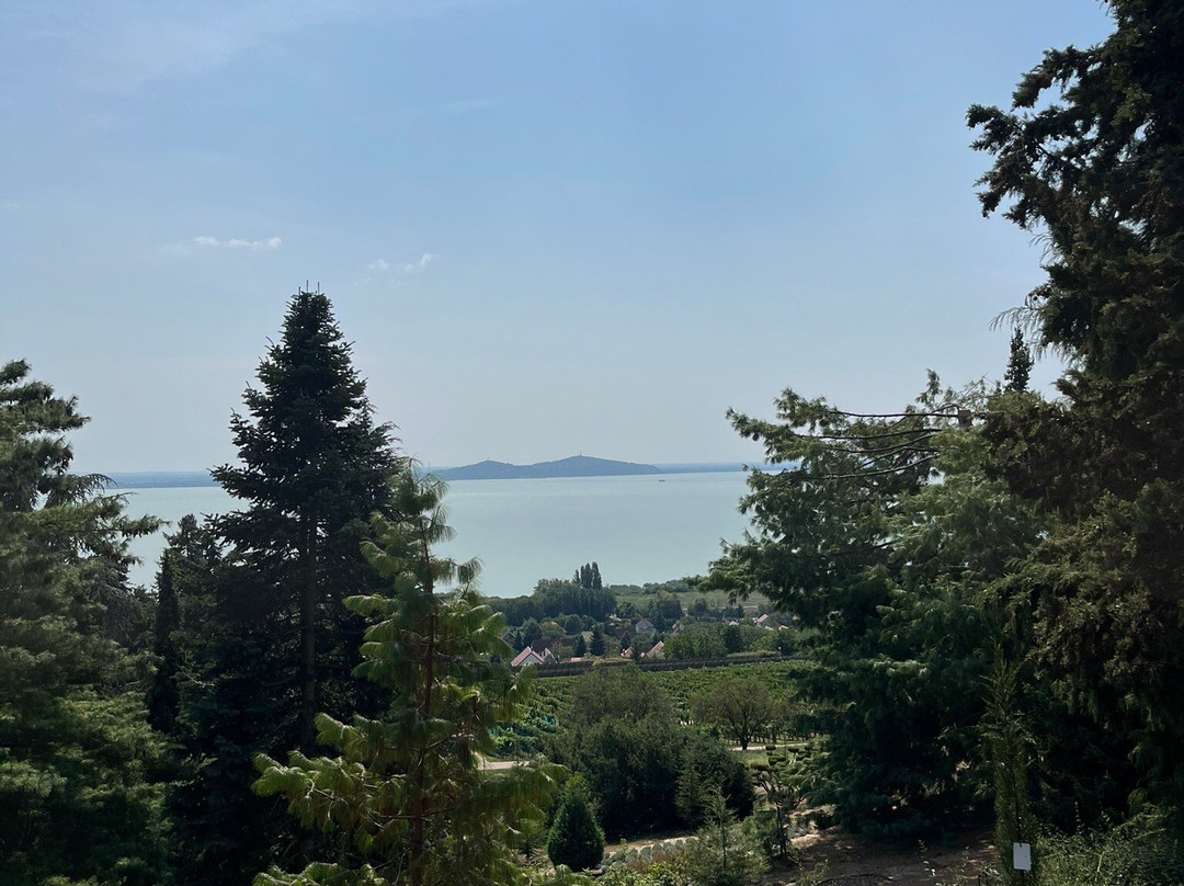 Folly Arboretum And Winery景点图片