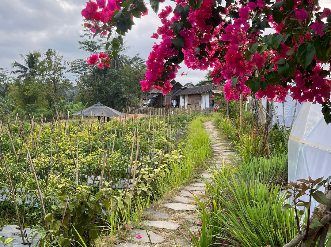 Kaleidoscope of Java Tour-日惹必去景点