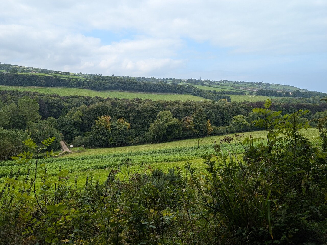 Glenarm forest-Glenarm必去景点