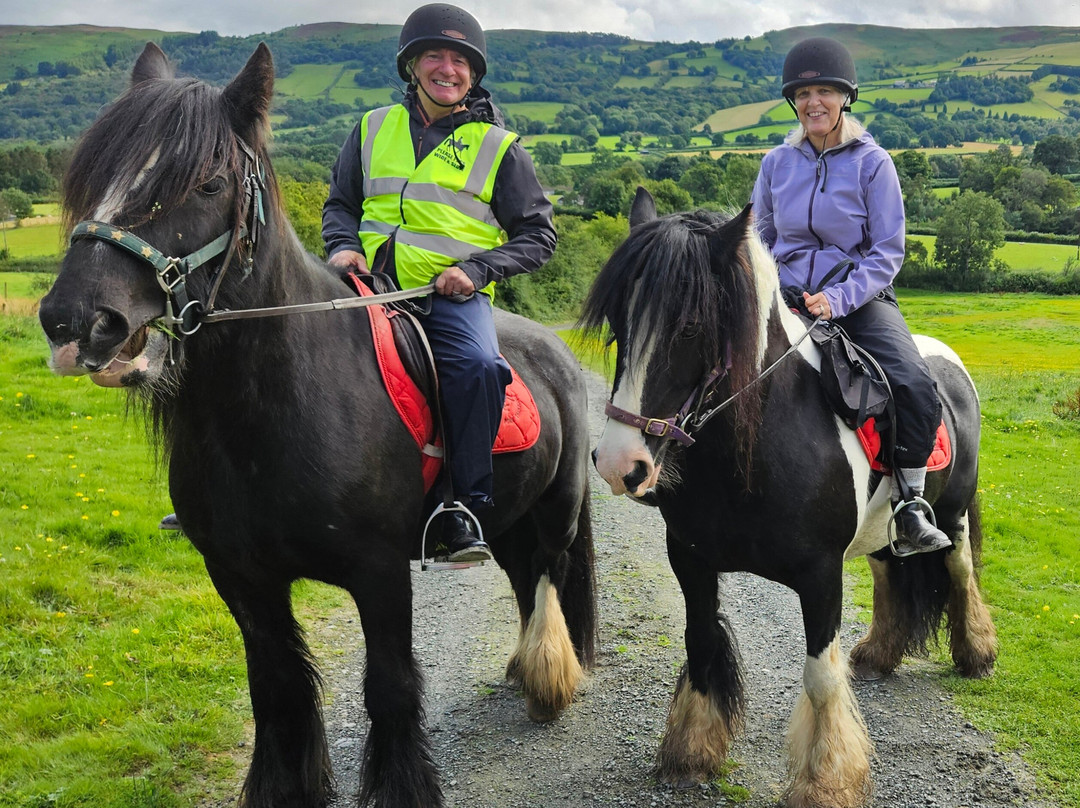 Pony Trekking by Lion Royal Hotel景点图片