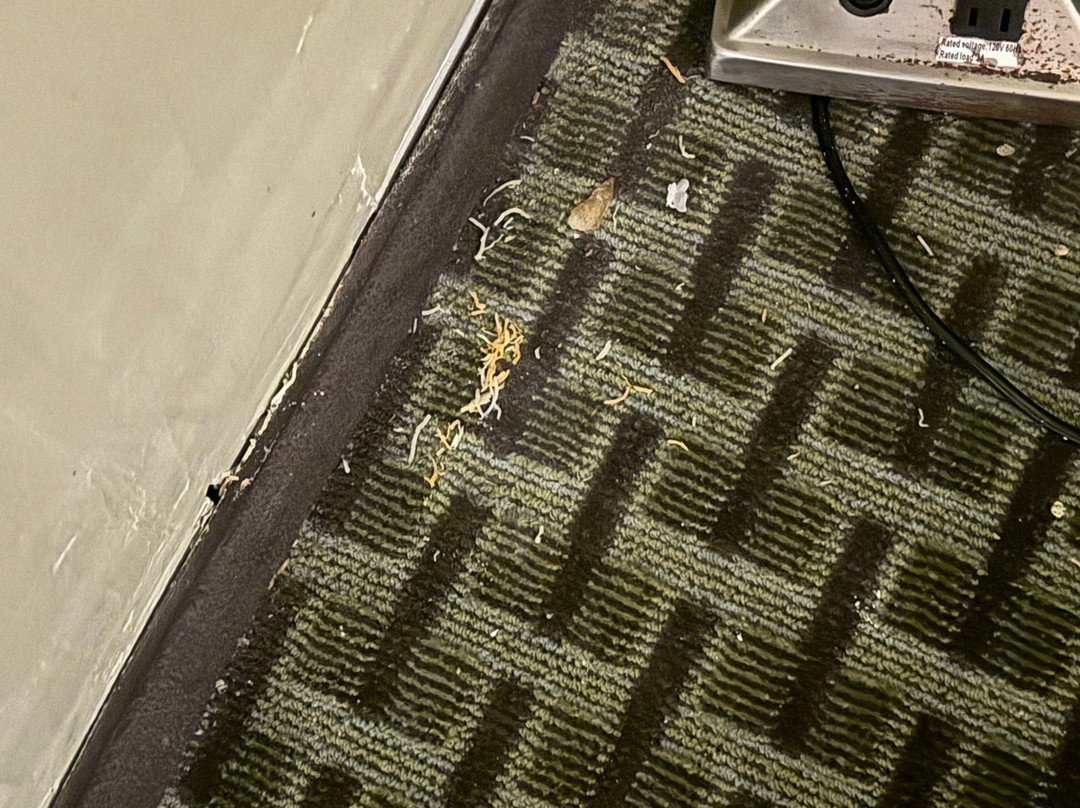 Days Inn by Wyndham Austintown主图