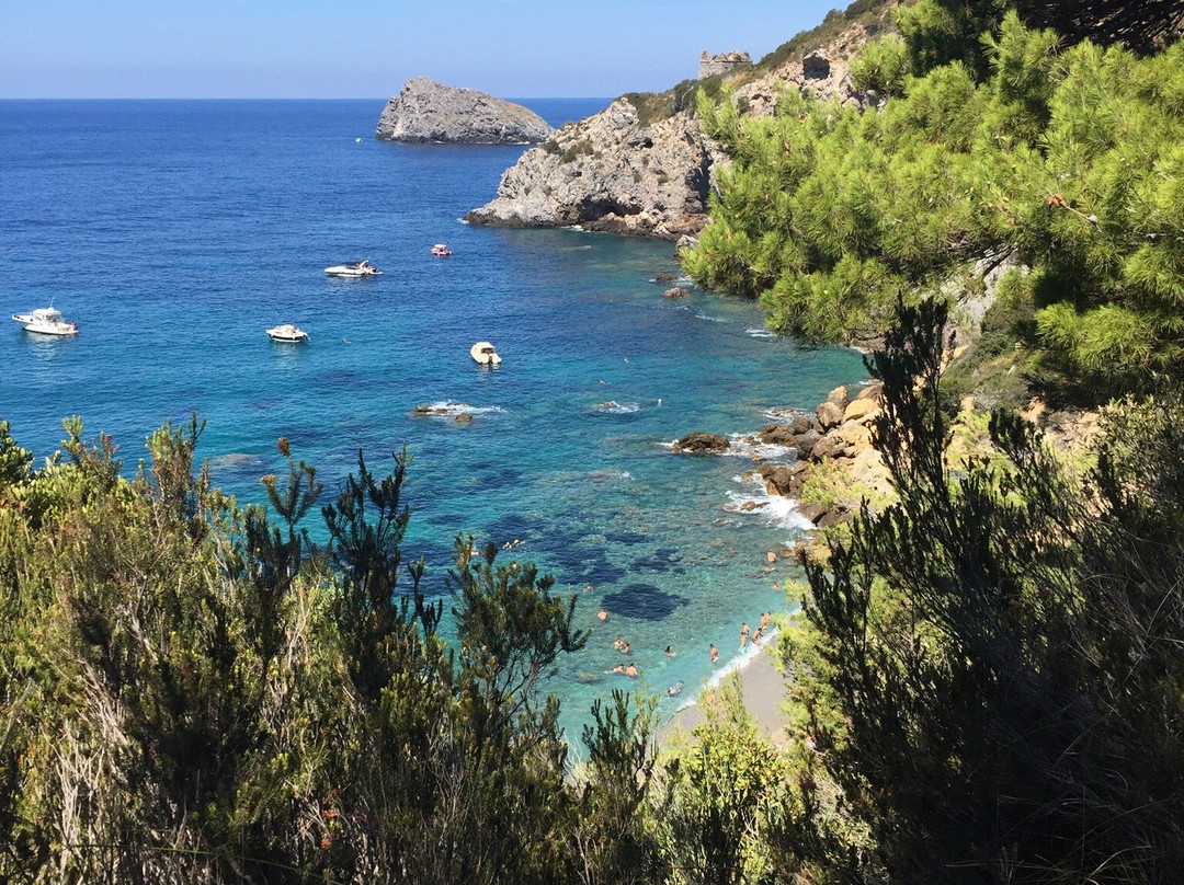 Cala del Gesso景点图片