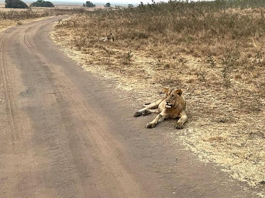 Afri Safaris-吉佳利必去景点