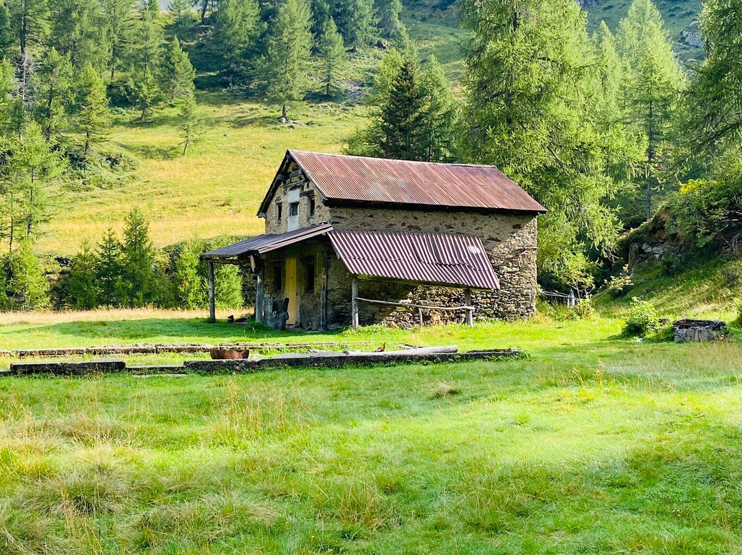 Borgo di Pagliari景点图片