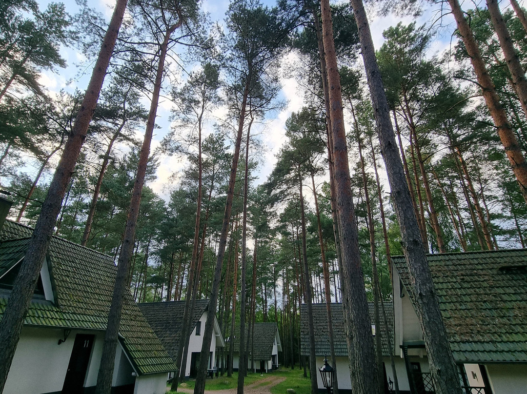 Van der Valk Naturresort Drewitz主图