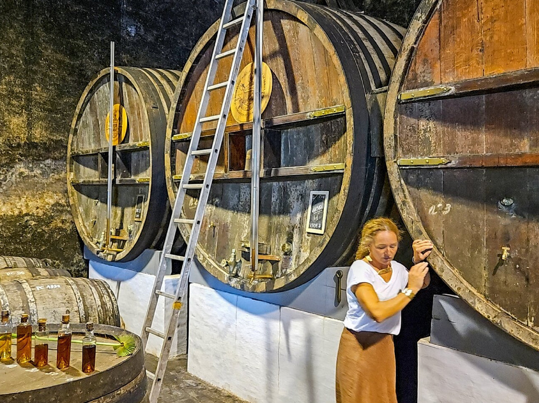 Cognac J. Normandin-Mercier-Dompierre sur Mer必去景点