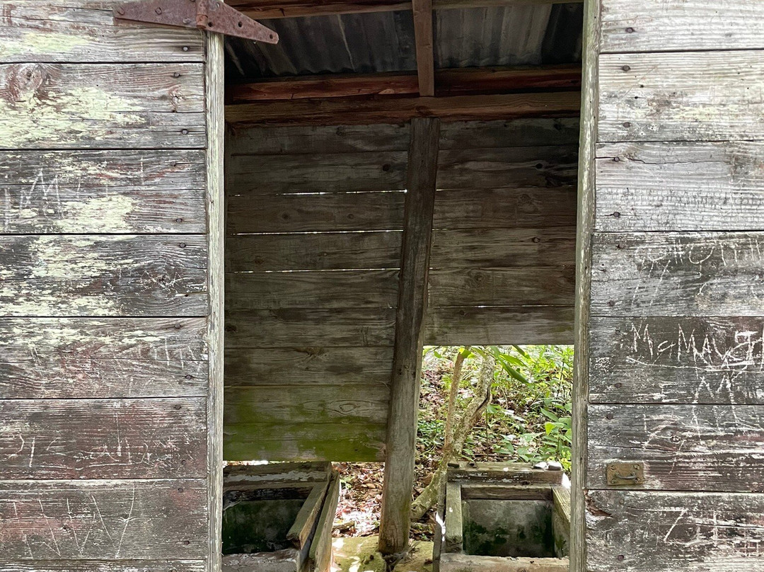 Wayah Bald Lookout Tower景点图片