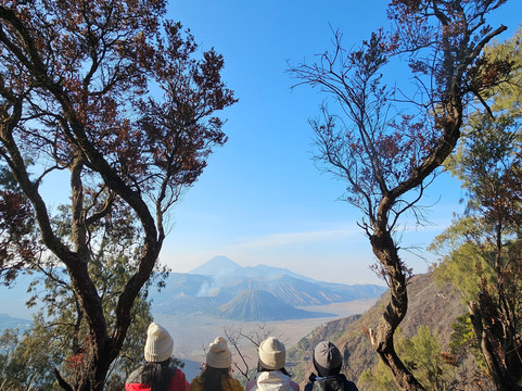 Bromo Tour By Hadi-泗水必去景点