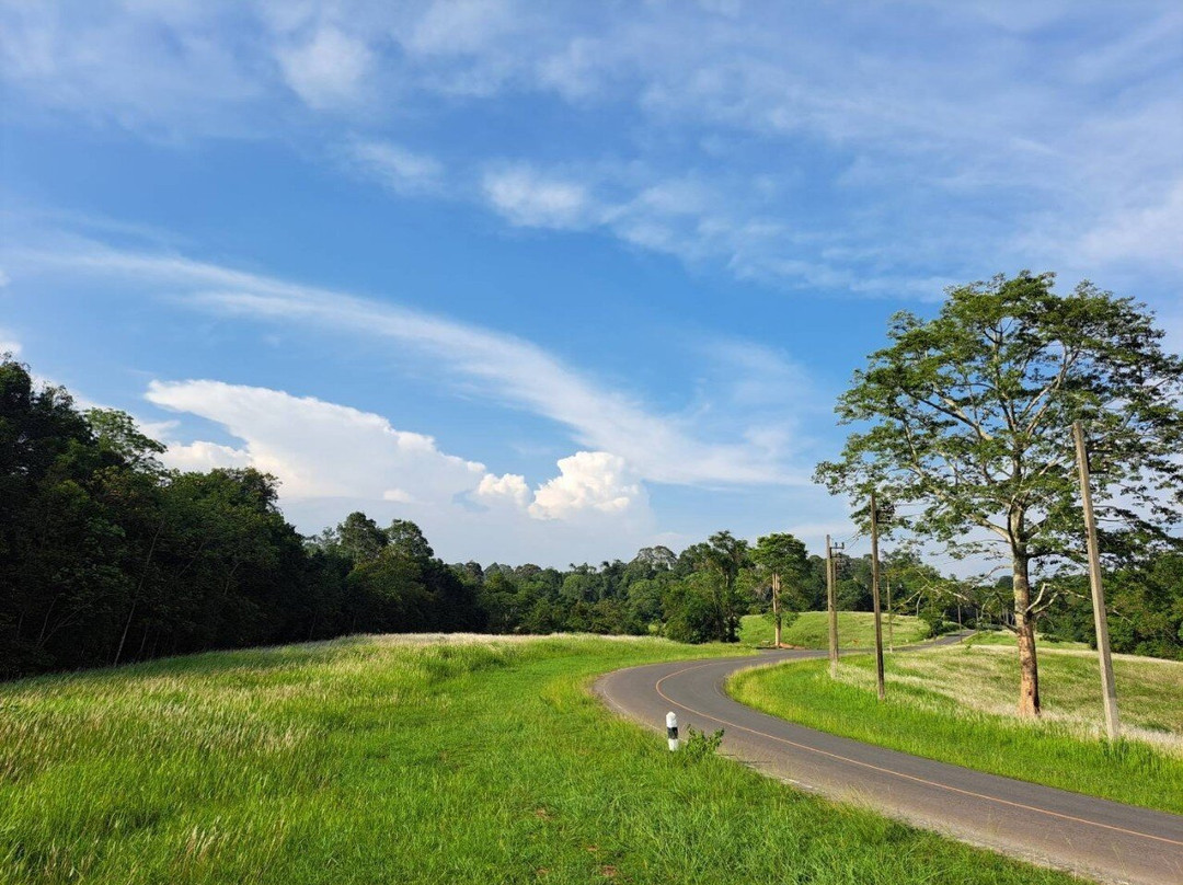 Khao Yai : Rest Journey景点图片