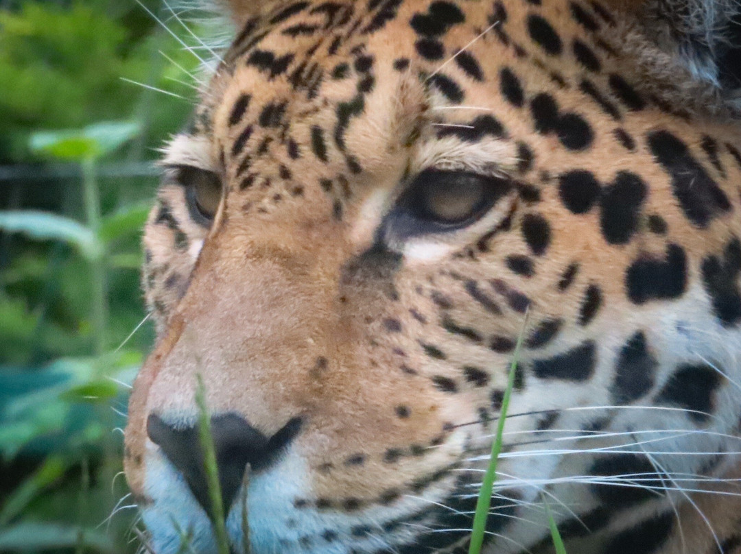 Zoo de Granby-Granby必去景点