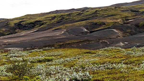 Fjallabak Trekking-雷克雅未克必去景点