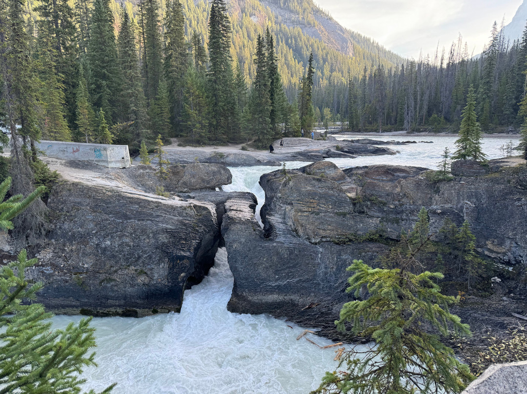 Yoho National Park景点图片
