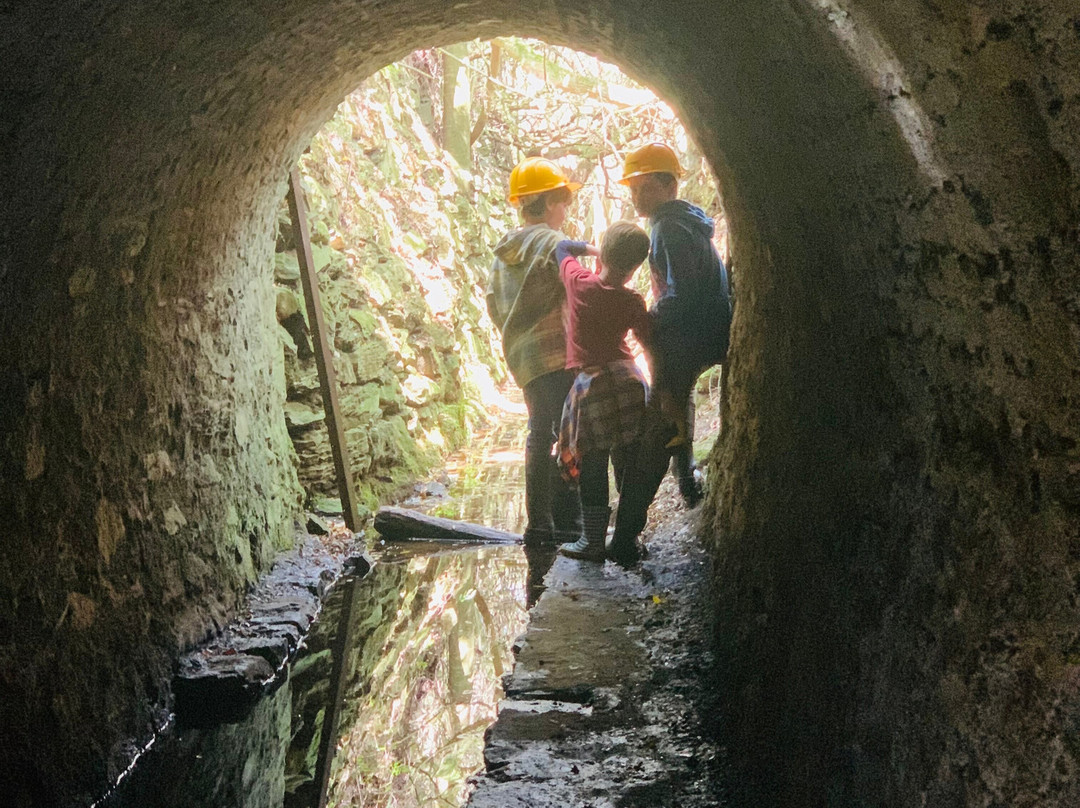 Parque Arqueológico Mina La Oriental-Maldonado必去景点
