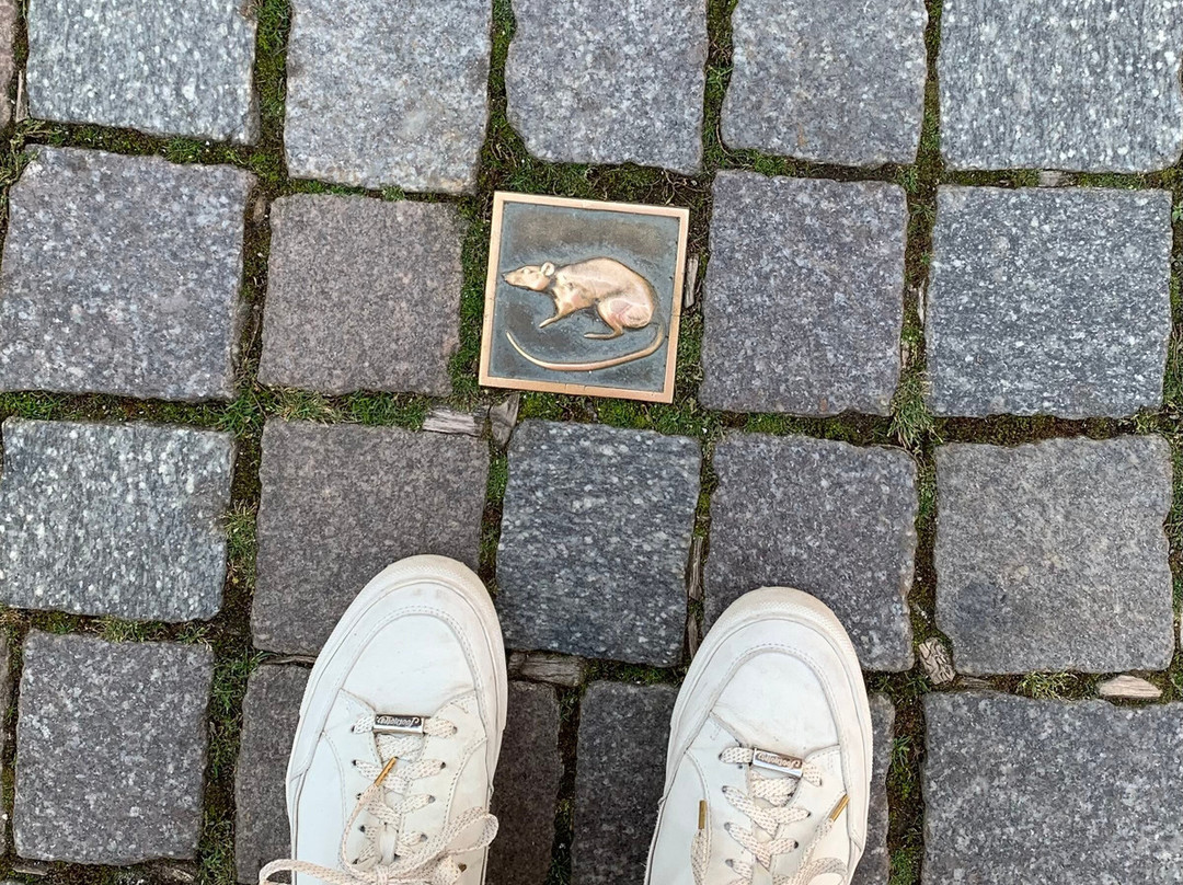 Hameln Old Town-哈默尔恩必去景点