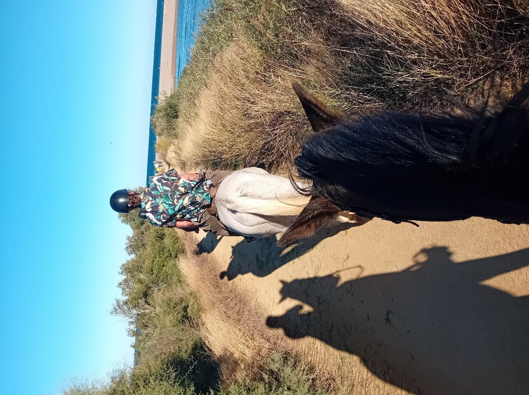 Hipica Mas Paguina-L'Estartit必去景点