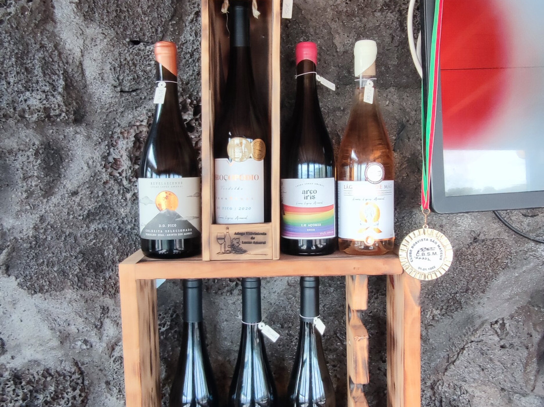 Adega Vitivinícola Lucas Lopes Amaral-Candelaria必去景点