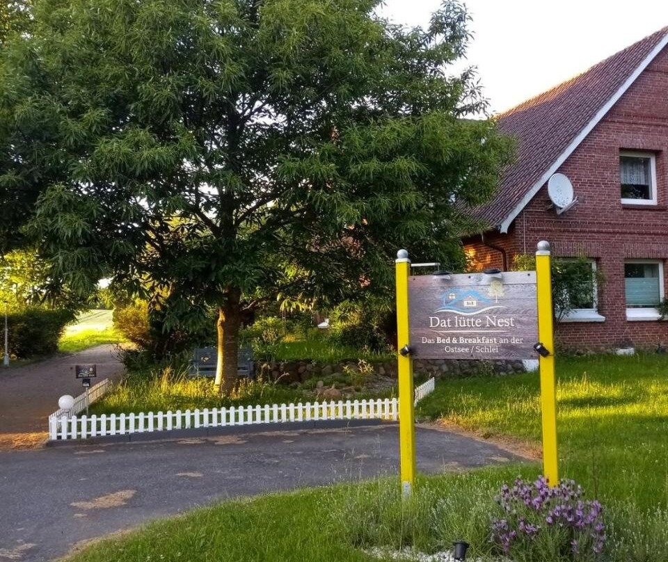 Dat Lutte Nest主图