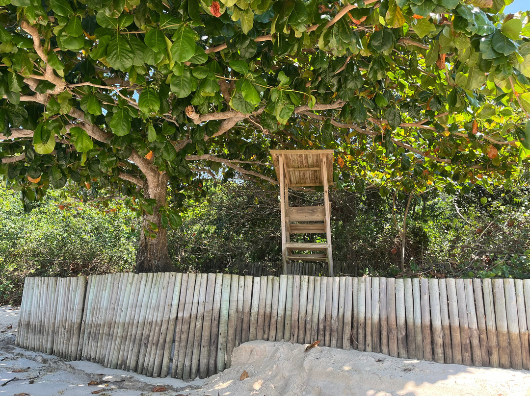 Ponta de Itapororoca-特兰科苏必去景点