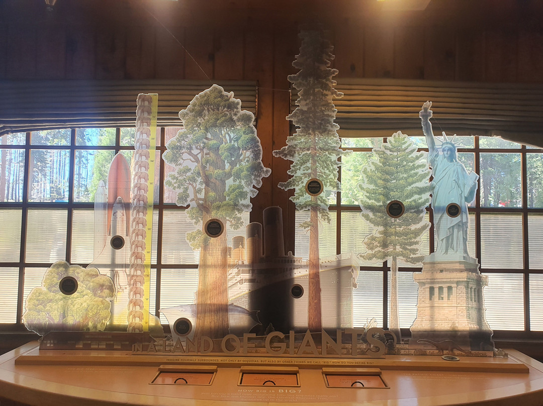 Giant Forest Museum-红杉&国王峡谷国家公园必去景点