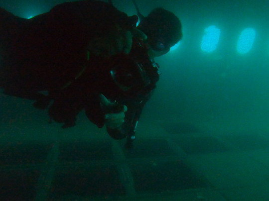 Aquasport Dive Center-库萨达斯必去景点