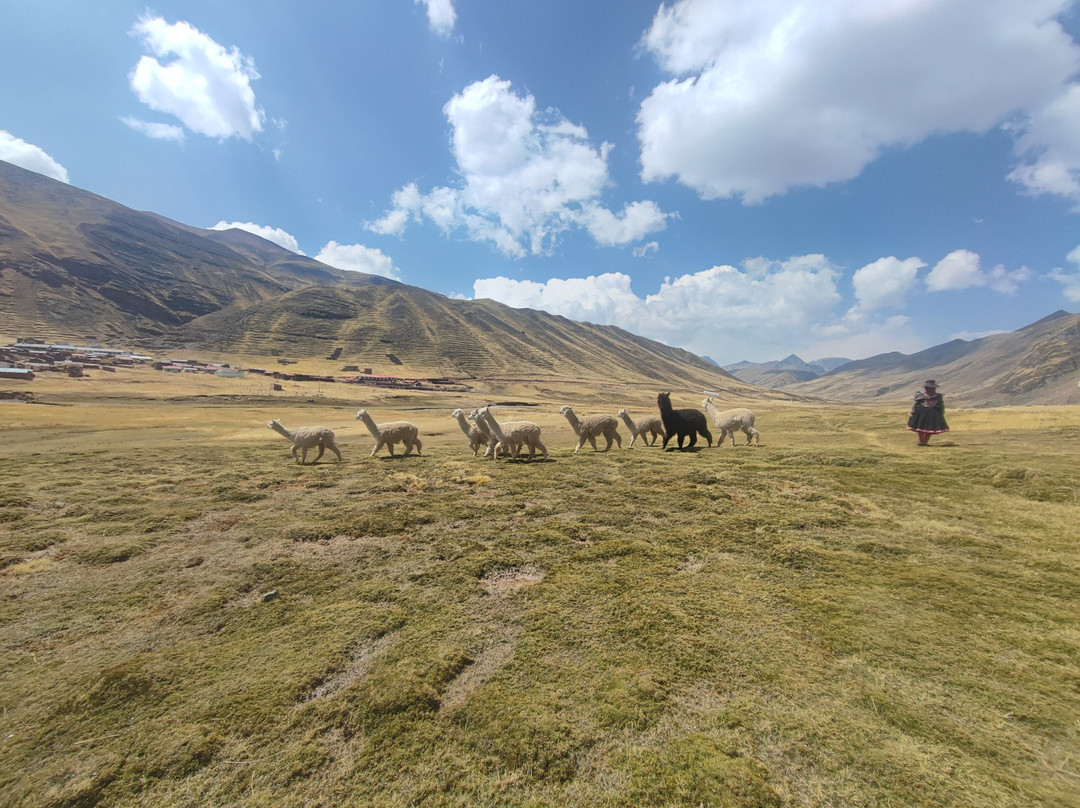 Andean Lodges-库斯科必去景点