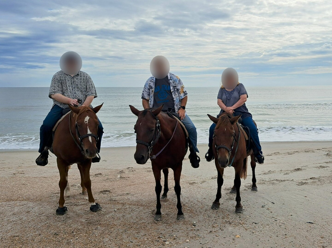 Amelia Island Horseback Riding景点图片