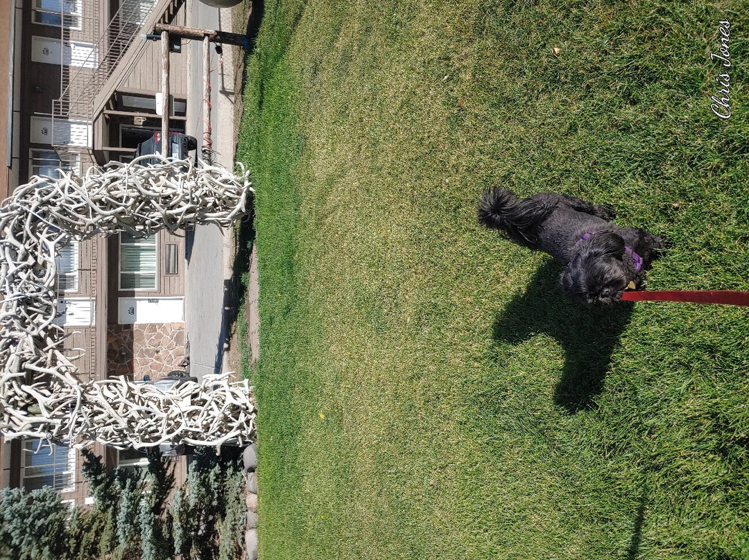 Stagecoach Inn & Suites主图