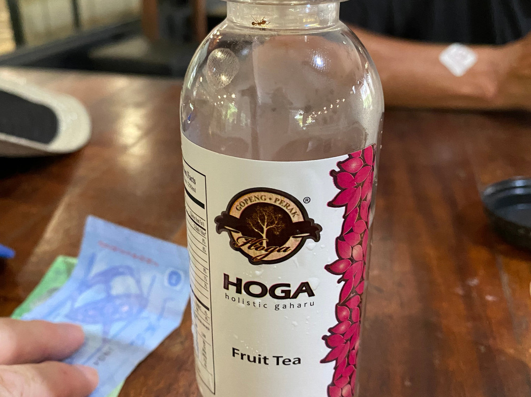 Gaharu Tea Valley-务边必去景点