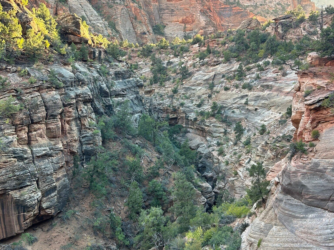 Many Pools Trail-锡安国家公园必去景点