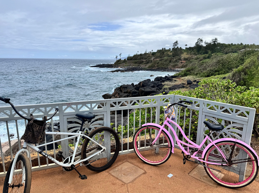 Hele on Kauai Bike Rentals-卡帕阿必去景点