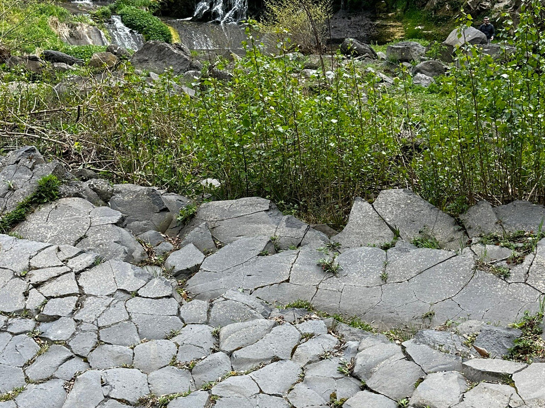 Salt del Moli Fondo景点图片