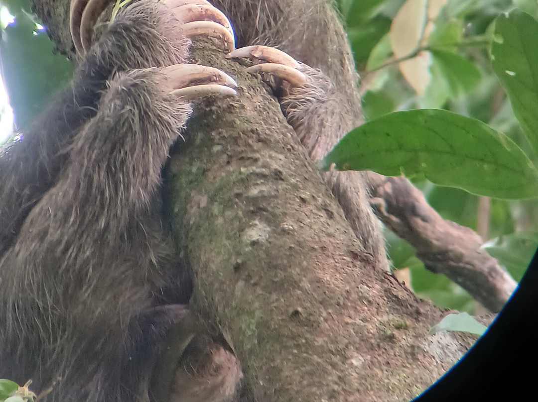 Green Eco Park CR-El Tanque必去景点