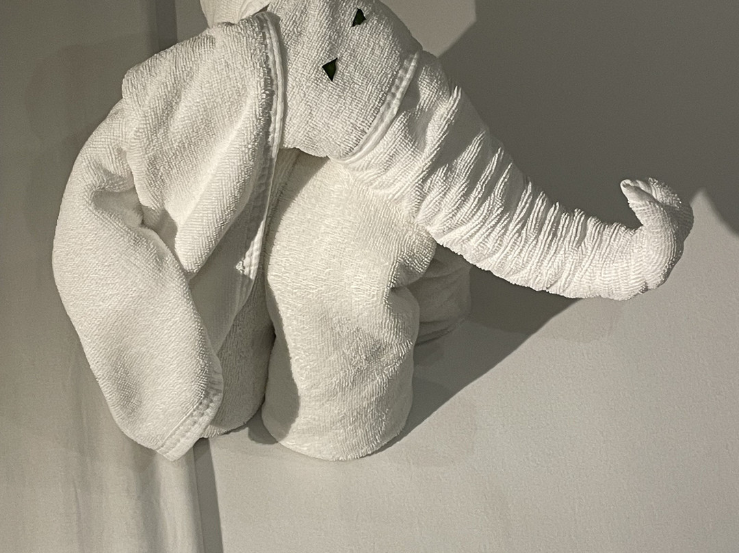 Riff Hikkaduwa主图