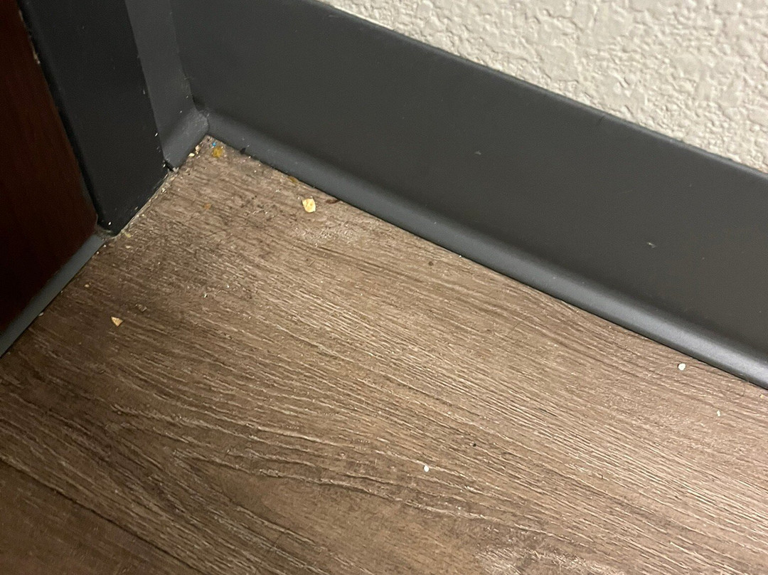 Extended Stay America - Baltimore - Glen Burnie主图