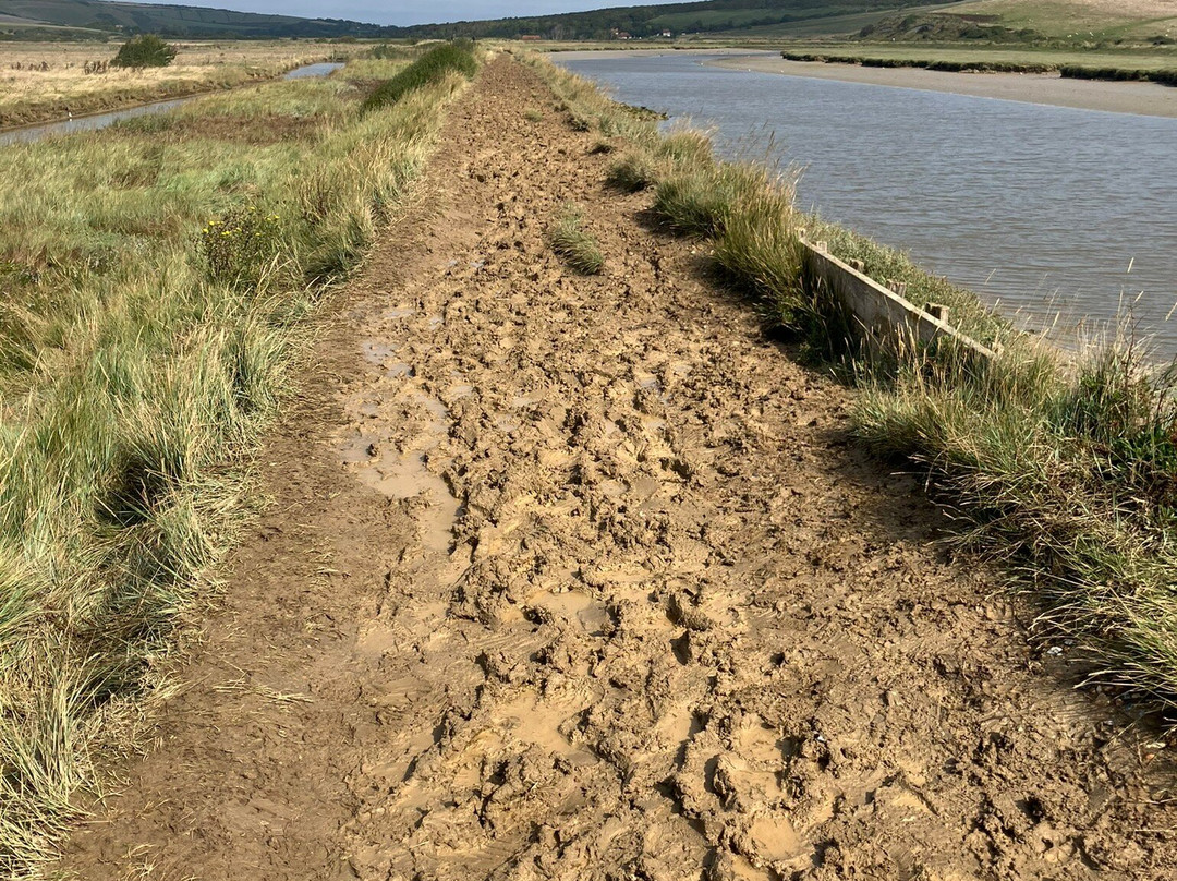 Cuckmere Haven景点图片