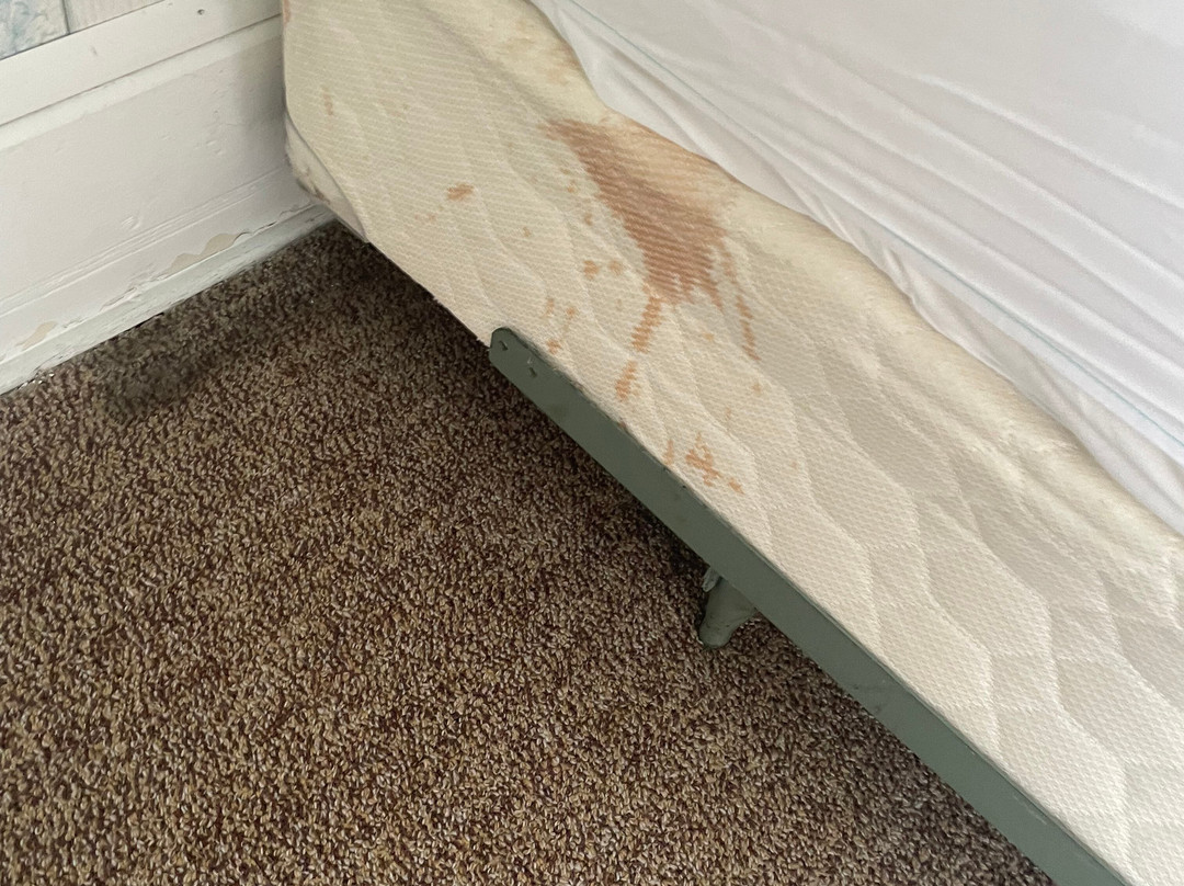 The Hotel Conneaut主图