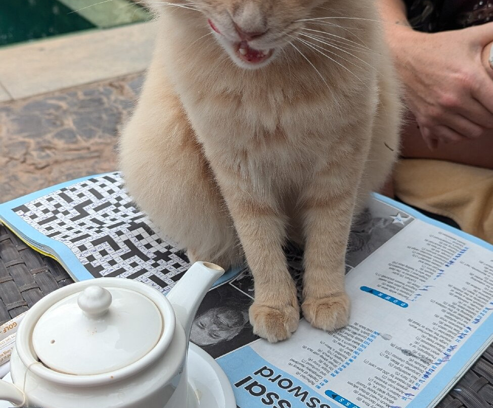 Riad Villa Blanche主图