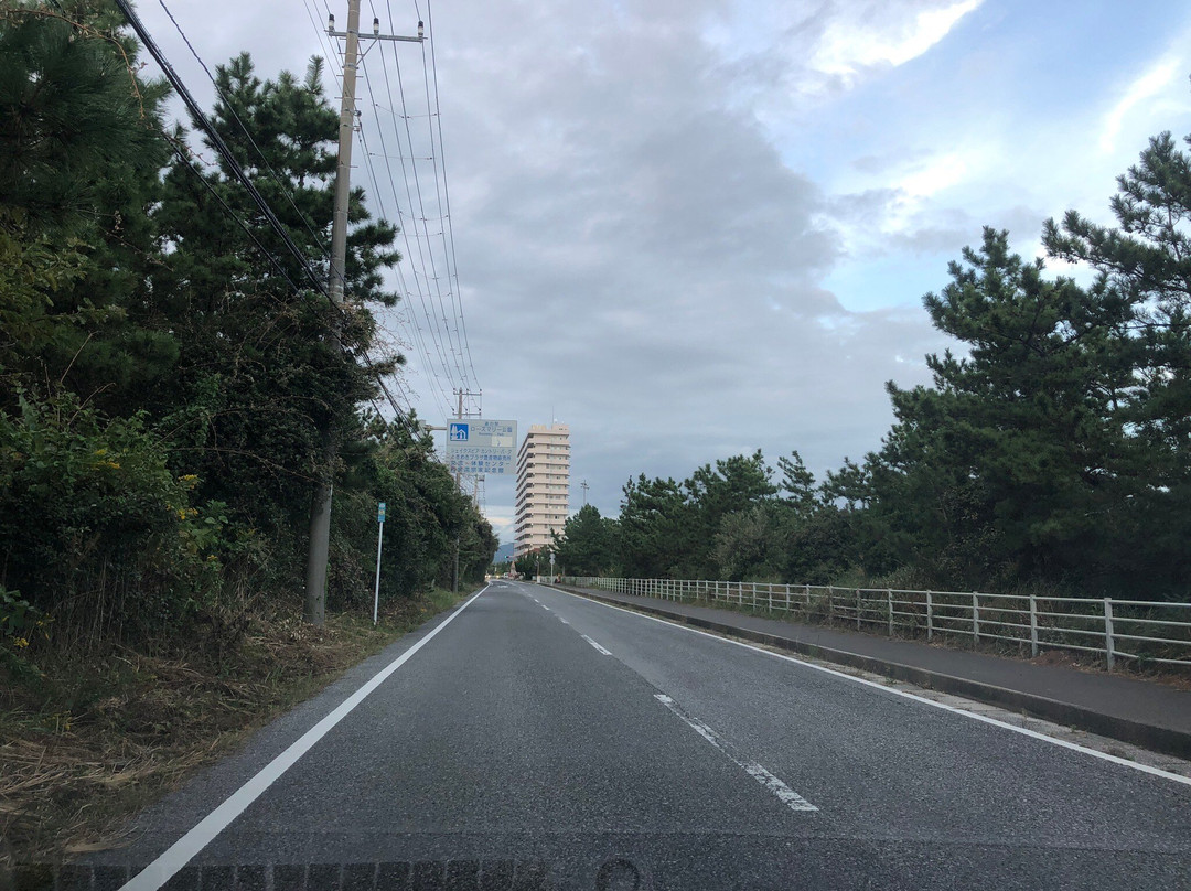 Boso Flower Line-馆山市必去景点