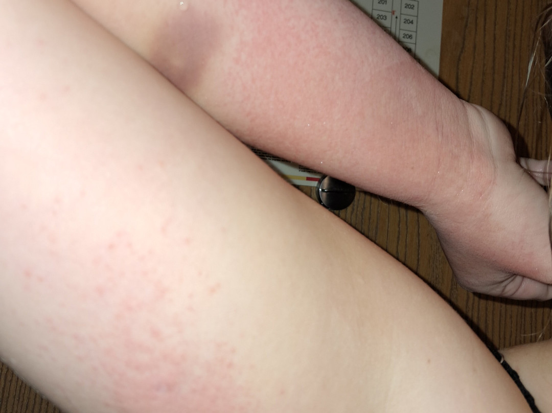 Comfort Inn & Suites主图