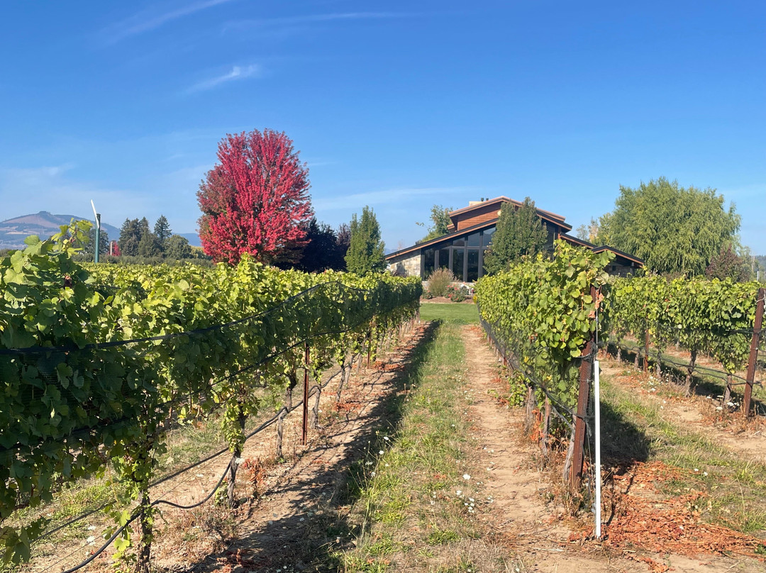 Mt. Hood Winery-胡德里弗必去景点