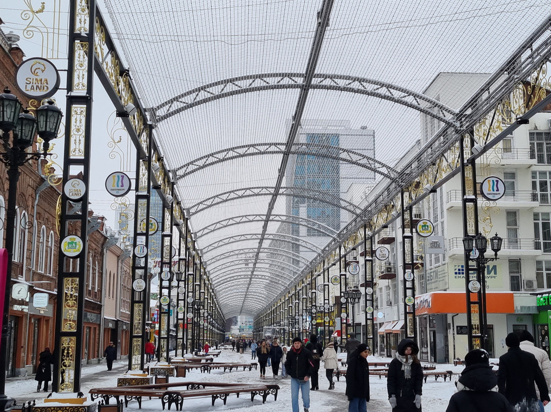 Vaynera Street, Yekaterinburg景点图片