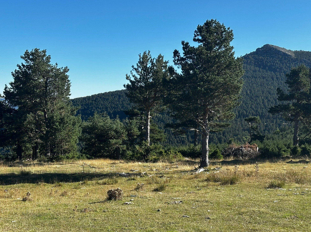Parque Natural Sierra Cebollera景点图片
