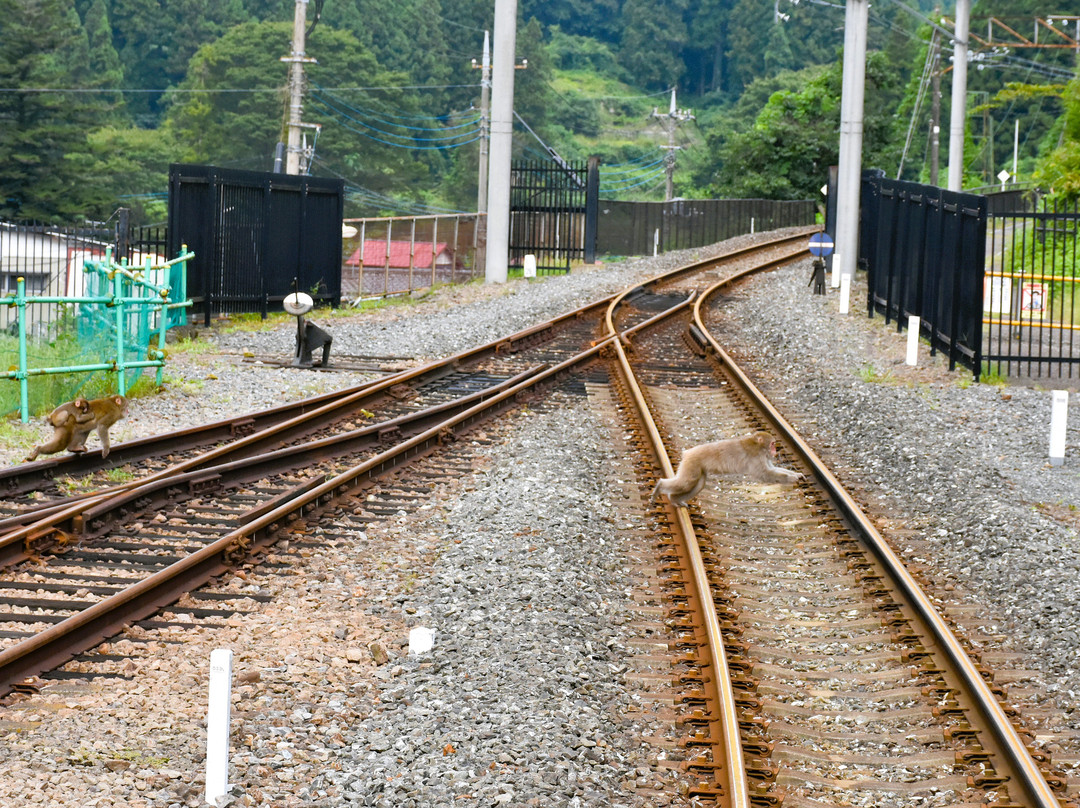 Trolley Train Line-安中市必去景点