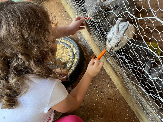 Recanto Alvorada Eco Resort主图