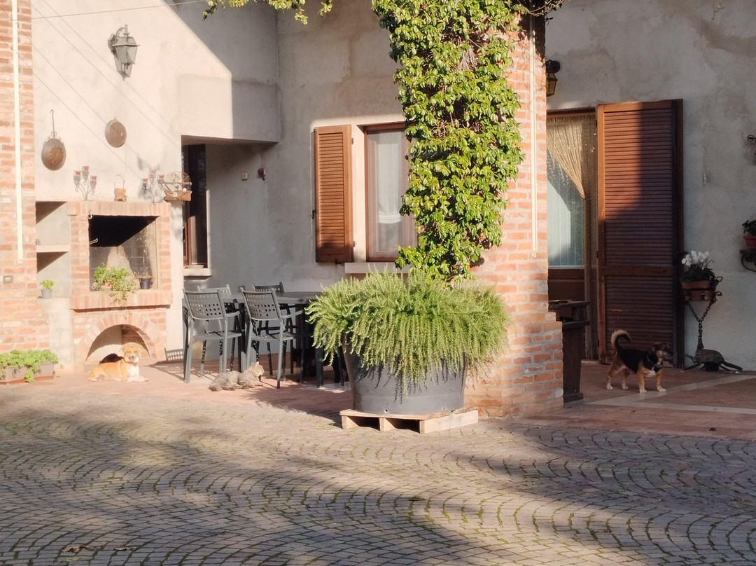 Le Rondini Bed & Breakfast主图