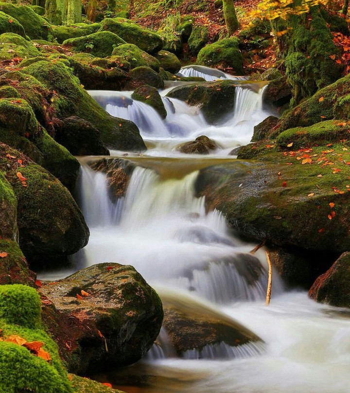 St. Simeon’s сhurch-佩列斯拉夫尔-扎列斯基必去景点