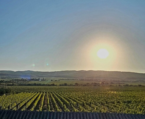 Crama Velo-Odobesti必去景点