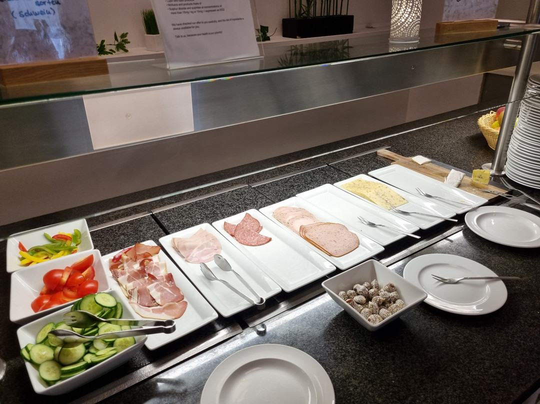 卡塞尔温德姆花园酒店主图