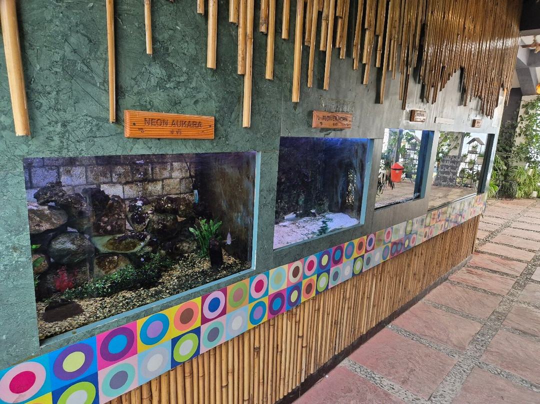 Aquarium Island Café景点图片